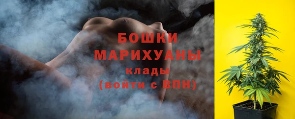 стафф Майский
