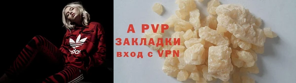 стафф Майский