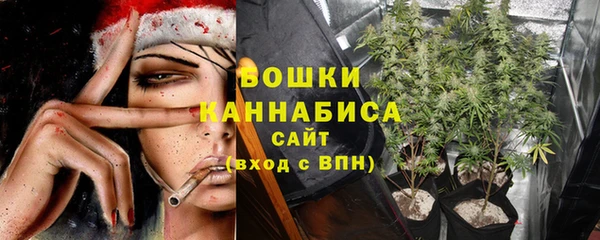стафф Майский