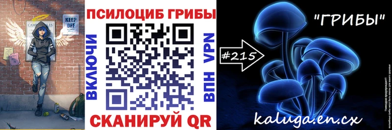Галлюциногенные грибы мицелий  Купить  Донской 